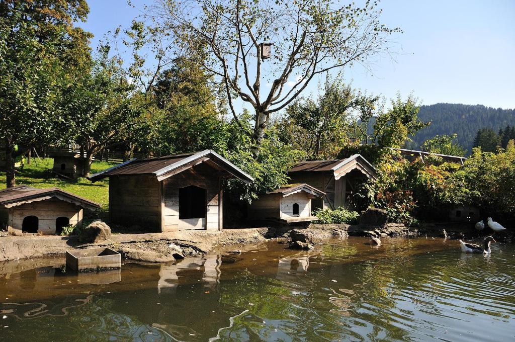 Bodenhof Ferienwohnungen Fieberbrunn Exterior photo